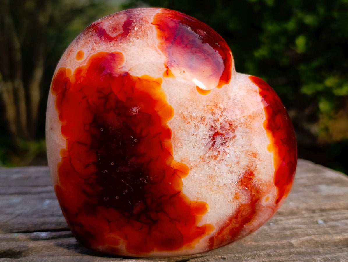 Polished Large Spotty Carnelian Gemstone Heart x 1 From Madagascar