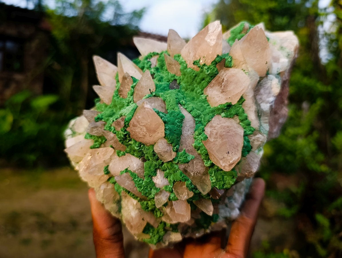 Natural Large Kolwezite Coated Dog Tooth Calcite Specimen x 1 From Mashamba West Mine, Congo