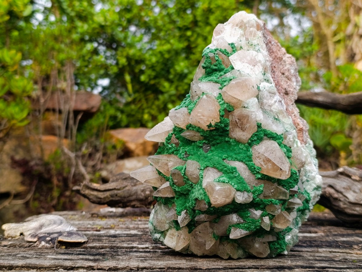 Natural Large Kolwezite Coated Dog Tooth Calcite Specimen x 1 From Mashamba West Mine, Congo