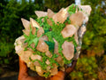 Natural Large Kolwezite Coated Dog Tooth Calcite Specimen x 1 From Mashamba West Mine, Congo