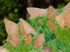 Natural Large Kolwezite Coated Dog Tooth Calcite Specimen x 1 From Mashamba West Mine, Congo