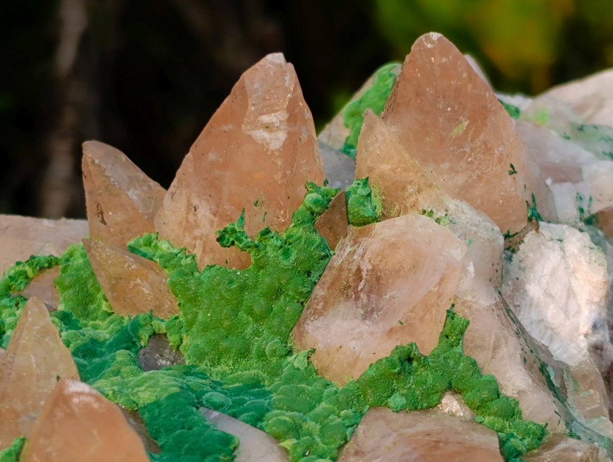 Natural Large Kolwezite Coated Dog Tooth Calcite Specimen x 1 From Mashamba West Mine, Congo