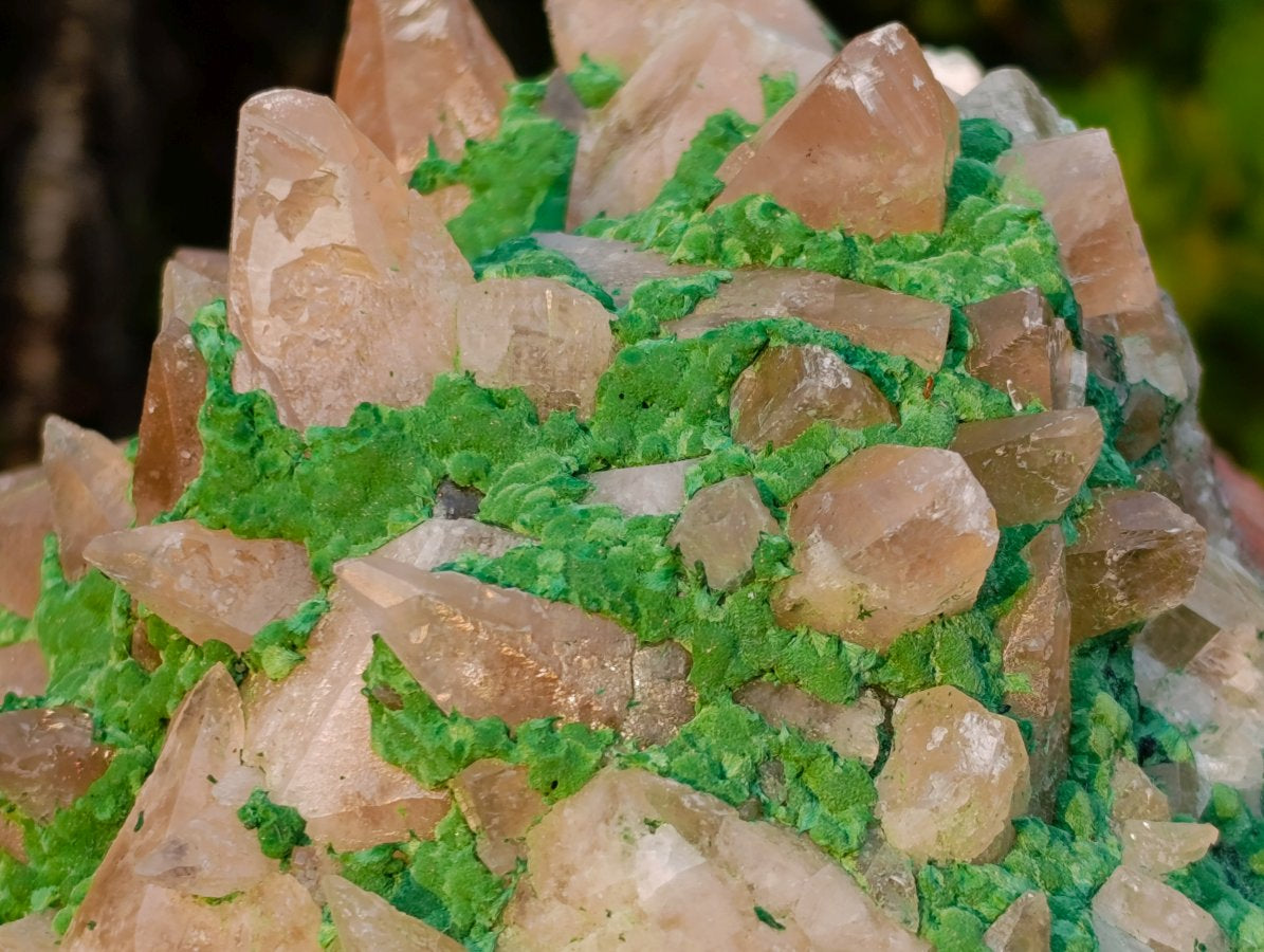 Natural Large Kolwezite Coated Dog Tooth Calcite Specimen x 1 From Mashamba West Mine, Congo