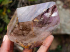 Polished Smokey Amethyst Window Quartz Crystal with Enhydro x 1 From Akansobe Madagascar