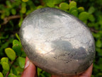 Polished Basalt and Pyrite Pharaoh Stone Palm Stone x 1 From Iron Duke Mine, Zimbabwe
