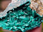 Natural Super Rare Acicular Malachite Barite Specimen x 1 From Shinkolobwe Mine, Congo