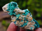 Natural Super Rare Acicular Malachite Barite Specimen x 1 From Shinkolobwe Mine, Congo