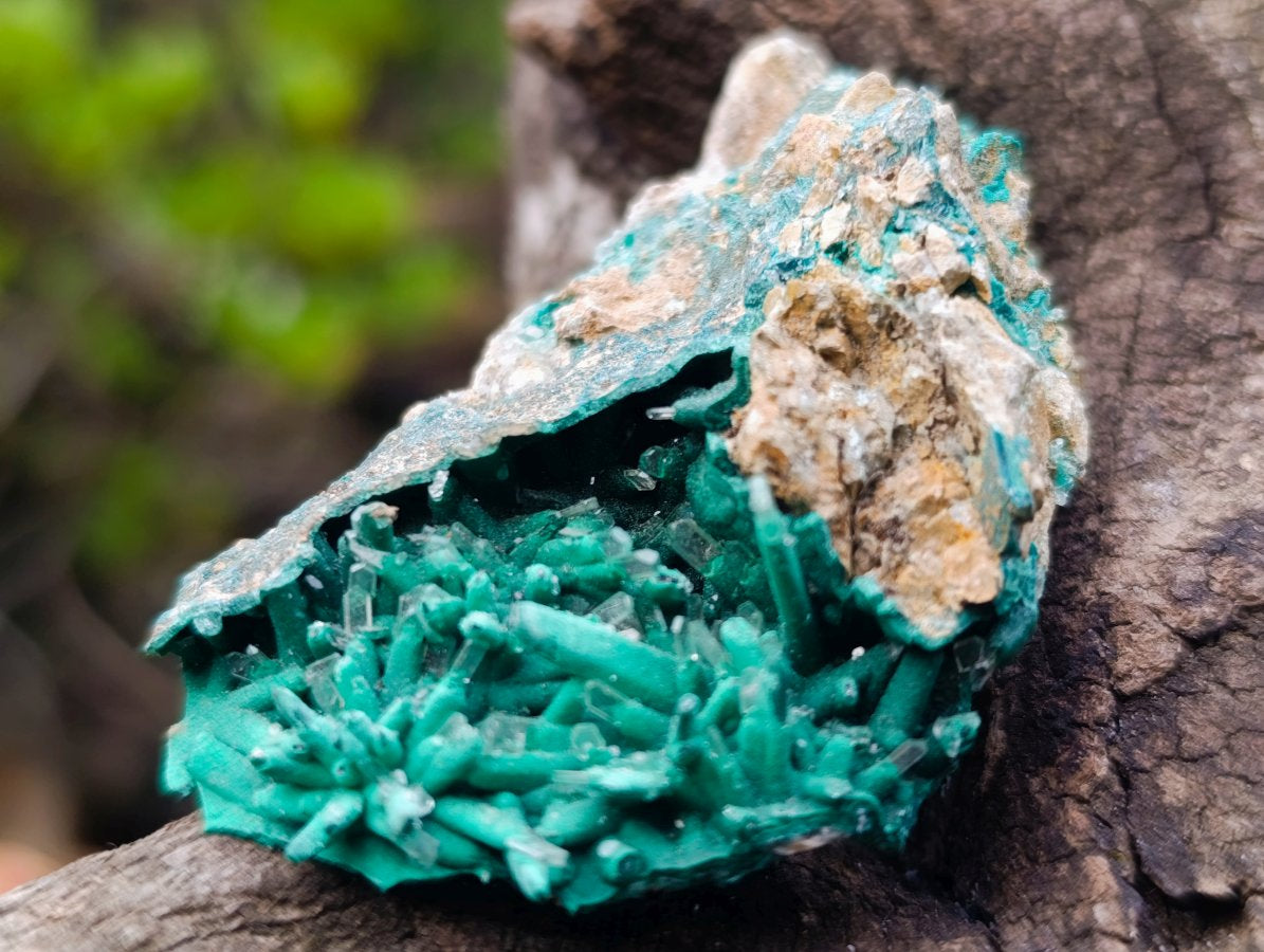 Natural Super Rare Acicular Malachite Barite Specimen x 1 From Shinkolobwe Mine, Congo
