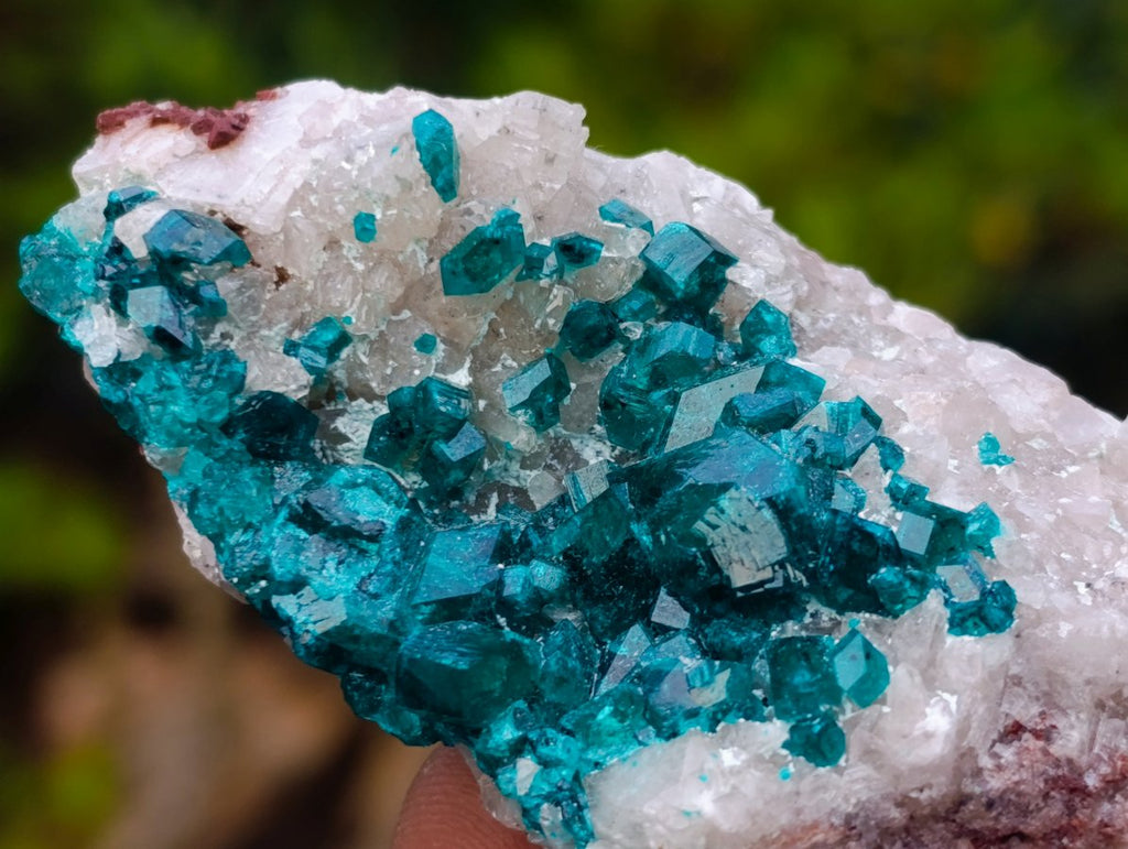 Natural Small Classic Dioptase Specimen on White Calcite and Dolomite Matrix x 1 From Likasi, Congo