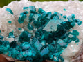 Natural Small Classic Dioptase Specimen on White Calcite and Dolomite Matrix x 1 From Likasi, Congo