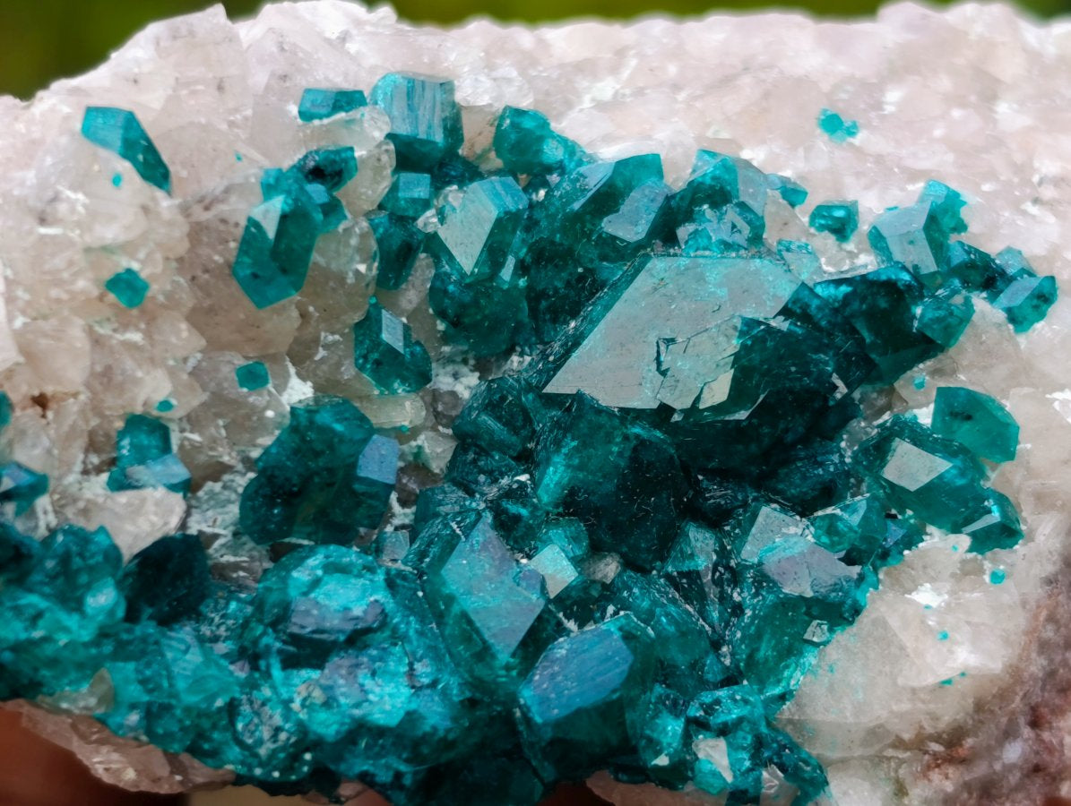 Natural Small Classic Dioptase Specimen on White Calcite and Dolomite Matrix x 1 From Likasi, Congo
