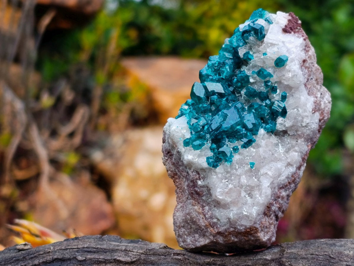 Natural Small Classic Dioptase Specimen on White Calcite and Dolomite Matrix x 1 From Likasi, Congo