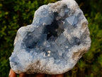 Natural Large Blue Celestite Geode Specimen x 1 From Sakoany Madagascar