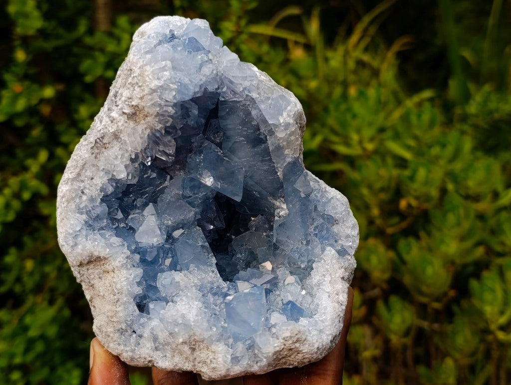Natural Large Blue Celestite Geode Specimen x 1 From Sakoany Madagascar