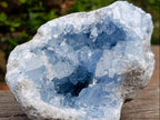 Natural Large Blue Celestite Geode Specimen x 1 From Sakoany Madagascar