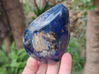 Polished Rare Deep Blue Dumortierite Gemstone Standing Display Crystal x 1 From Madagascar