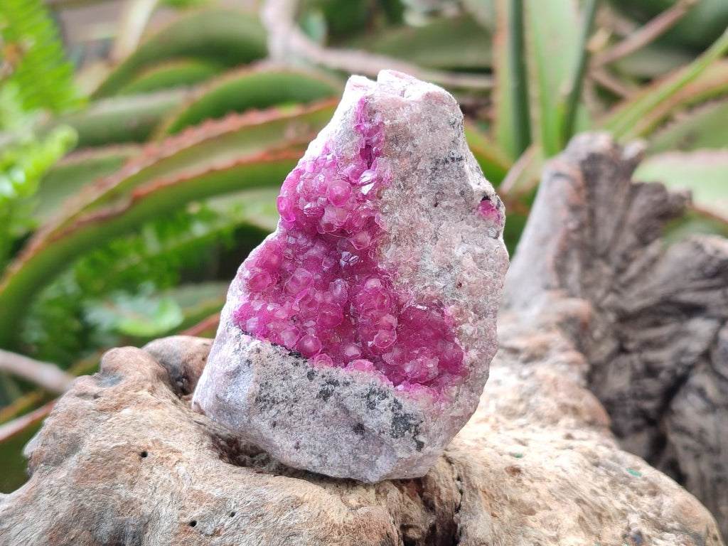 Natural Hot Pink Ultra Rare Spherocobaltite Specimen x 1 From Mashamba West Mine, Congo