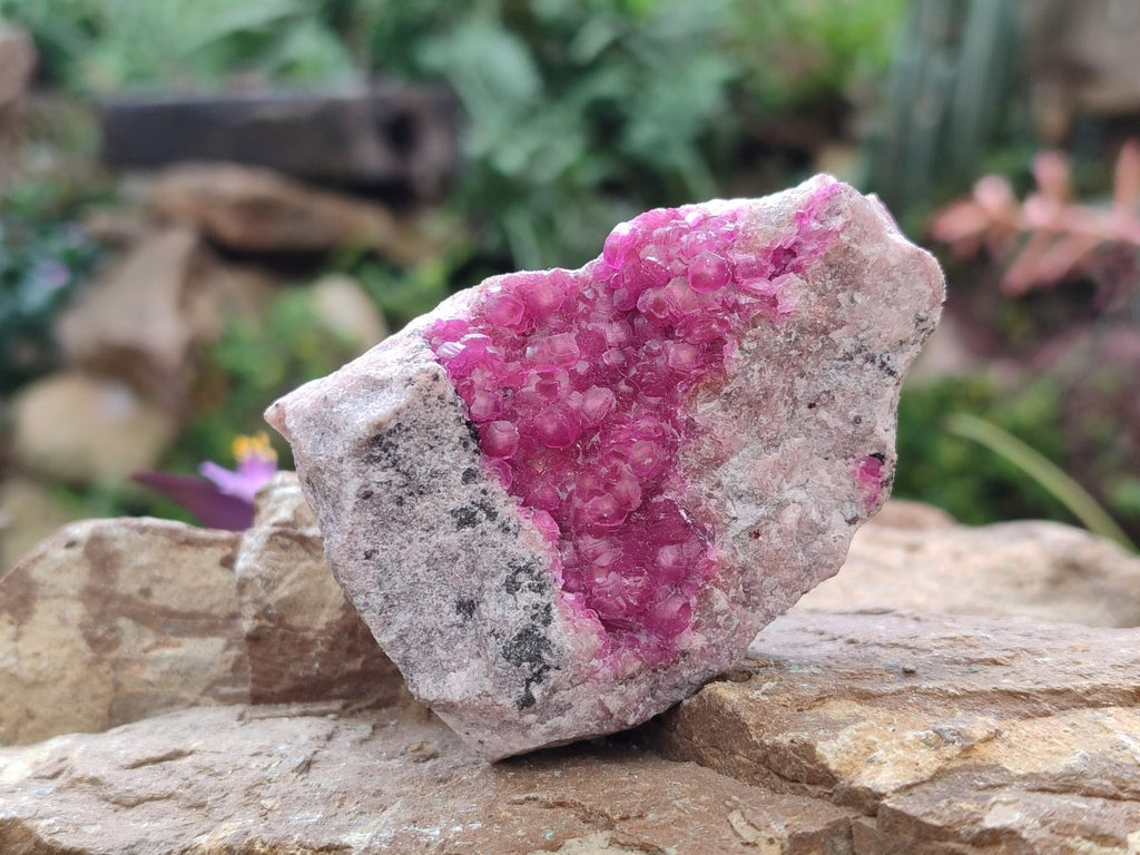 Natural Hot Pink Ultra Rare Spherocobaltite Specimen x 1 From Mashamba West Mine, Congo