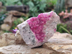 Natural Hot Pink Ultra Rare Spherocobaltite Specimen x 1 From Mashamba West Mine, Congo