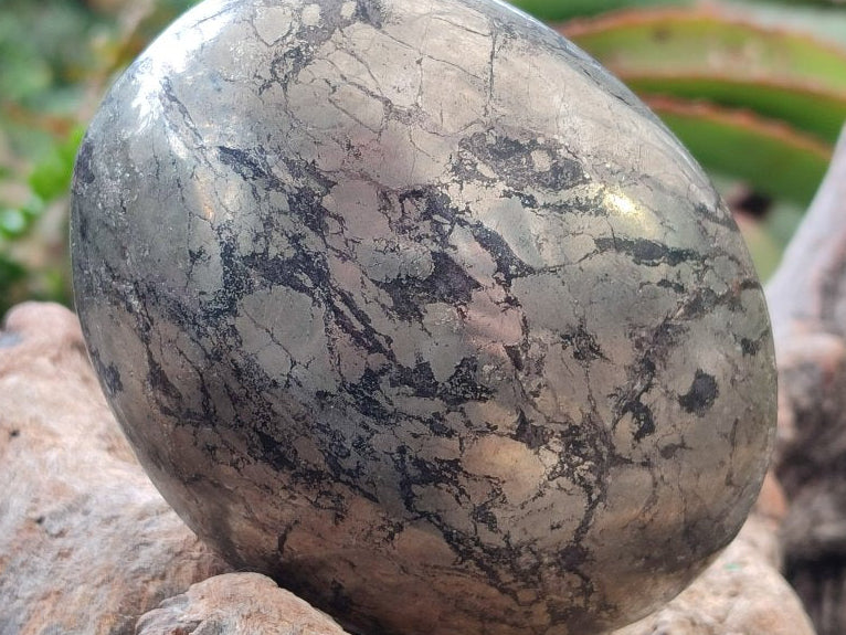 Polished Basalt and Pyrite Pharaoh Stone Free Form x 1 From Iron Duke Mine, Zimbabwe