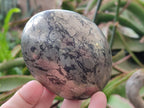 Polished Basalt and Pyrite Pharaoh Stone Free Form x 1 From Iron Duke Mine, Zimbabwe