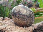 Polished Basalt and Pyrite Pharaoh Stone Free Form x 1 From Iron Duke Mine, Zimbabwe