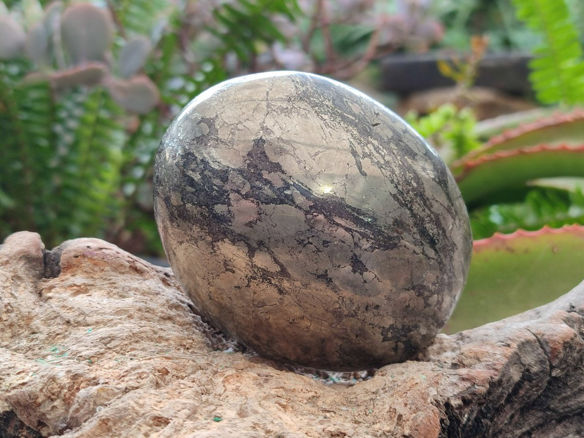 Polished Basalt and Pyrite Pharaoh Stone Free Form x 1 From Iron Duke Mine, Zimbabwe