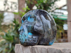 Hand Made Blue Flash Labradorite Skull Sculpture x 1 From Tulear, Madagascar