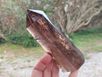 Polished Large Smokey Morion Quartz Crystal x 1 From Madagascar