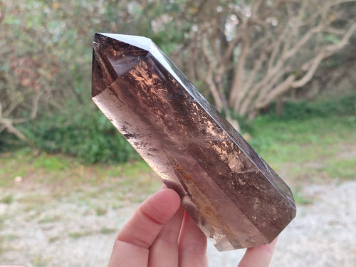 Polished Large Smokey Morion Quartz Crystal x 1 From Madagascar