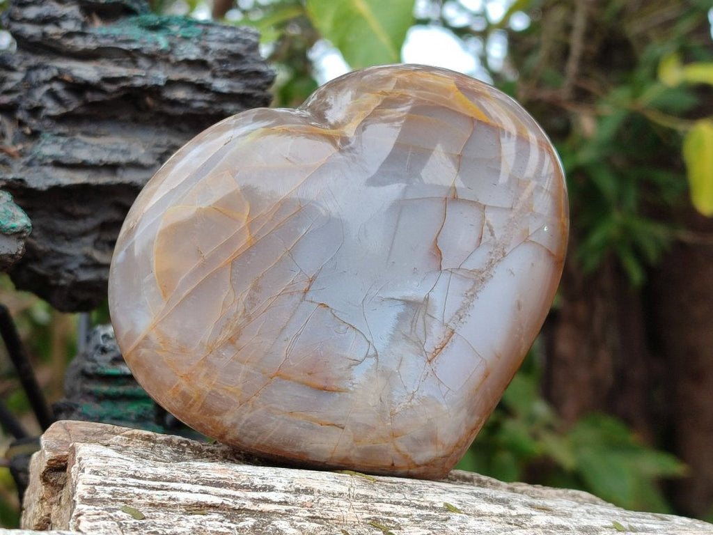Polished Large Pearly Moonstone Gemstone Heart x 1 From Madagascar