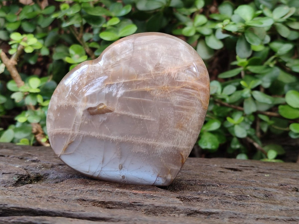 Polished Large Pearly Moonstone Gemstone Heart x 1 From Madagascar