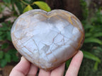 Polished Large Pearly Moonstone Gemstone Heart x 1 From Madagascar