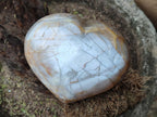 Polished Large Pearly Moonstone Gemstone Heart x 1 From Madagascar
