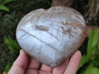 Polished Large Pearly Moonstone Gemstone Heart x 1 From Madagascar
