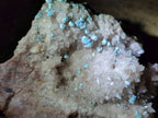 Natural Super Rare Spheroid Shattuckite with Dog Tooth Calcite on a Dolomite Matrix x 1 From Mashamba West Mine, Congo