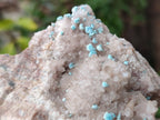 Natural Super Rare Spheroid Shattuckite with Dog Tooth Calcite on a Dolomite Matrix x 1 From Mashamba West Mine, Congo