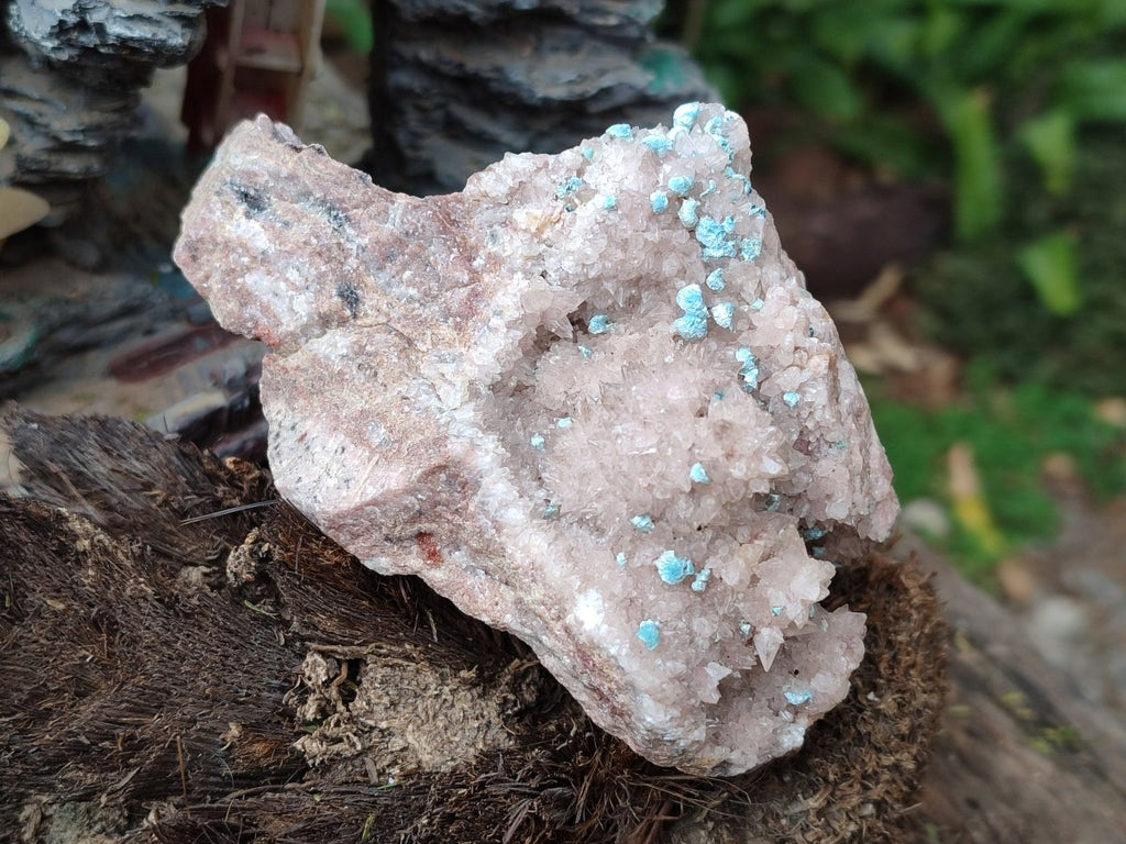 Natural Super Rare Spheroid Shattuckite with Dog Tooth Calcite on a Dolomite Matrix x 1 From Mashamba West Mine, Congo