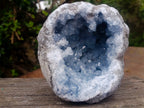 Natural Cabinet Size Blue Celestite Geode Specimen x 1 From Sakoany Madagascar