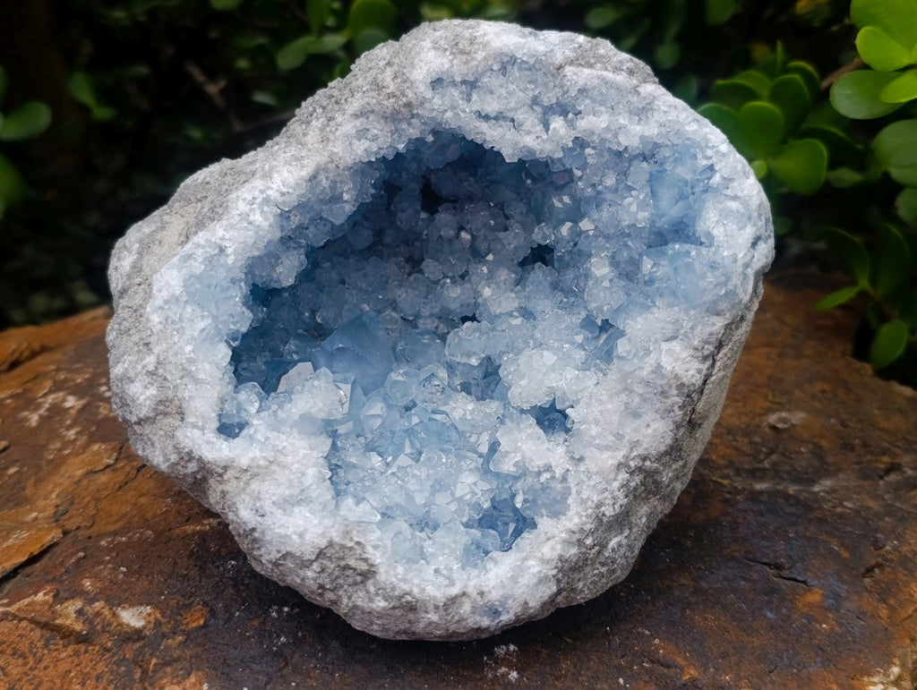 Natural Cabinet Size Blue Celestite Geode Specimen x 1 From Sakoany Madagascar