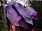 Polished Multi, Double Terminated Amethyst Window Crystal x 1 From Akansobe, Madagascar