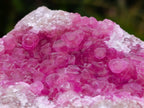 Natural Hot Pink Ultra Rare Spherocobaltite Specimen x 1 From Mashamba West Mine, Congo