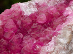 Natural Hot Pink Ultra Rare Spherocobaltite Specimen x 1 From Mashamba West Mine, Congo