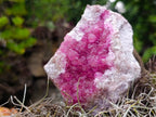 Natural Hot Pink Ultra Rare Spherocobaltite Specimen x 1 From Mashamba West Mine, Congo