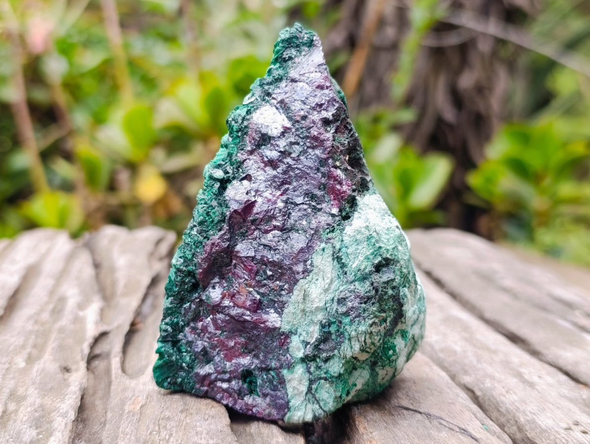 Natural Ultra Rare Cabinet Size Silver and Red Cuprite Specimen with Silky Malachite x 1 From Mashamba West, Congo