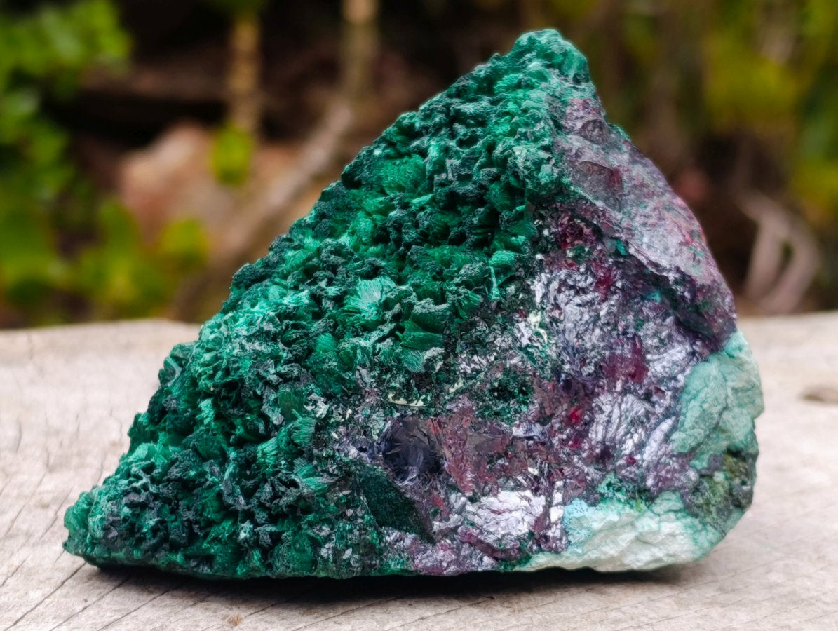 Natural Ultra Rare Cabinet Size Silver and Red Cuprite Specimen with Silky Malachite x 1 From Mashamba West, Congo
