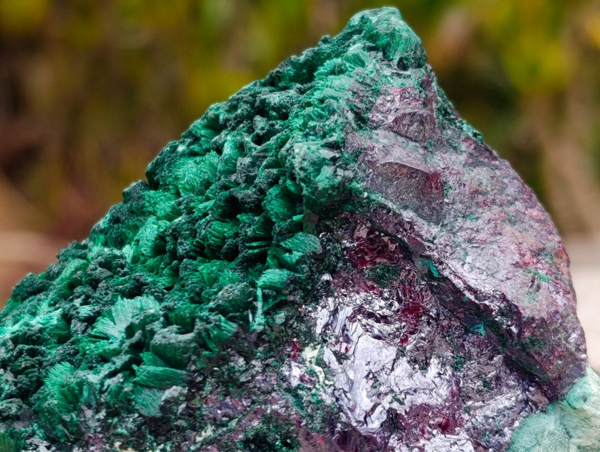 Natural Ultra Rare Cabinet Size Silver and Red Cuprite Specimen with Silky Malachite x 1 From Mashamba West, Congo