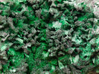 Natural Ultra Rare Cabinet Size Silver and Red Cuprite Specimen with Silky Malachite x 1 From Mashamba West, Congo