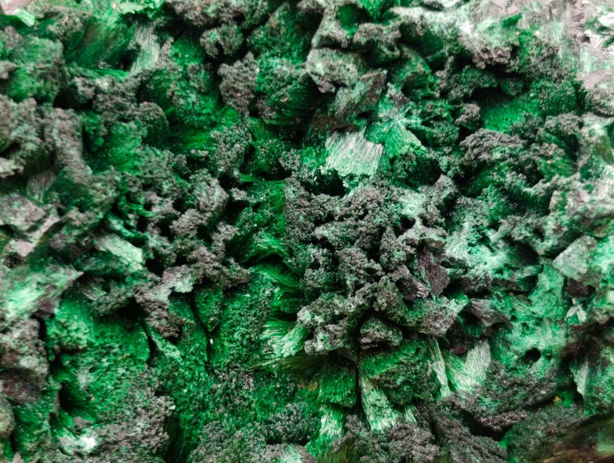 Natural Ultra Rare Cabinet Size Silver and Red Cuprite Specimen with Silky Malachite x 1 From Mashamba West, Congo