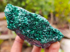 Natural Ultra Rare Cabinet Size Silver and Red Cuprite Specimen with Silky Malachite x 1 From Mashamba West, Congo